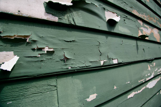 Best Recycling Services for Junk  in Lambert, MS
