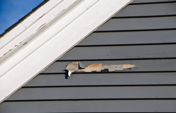 Same-Day Junk Removal Services in Lambert, MS